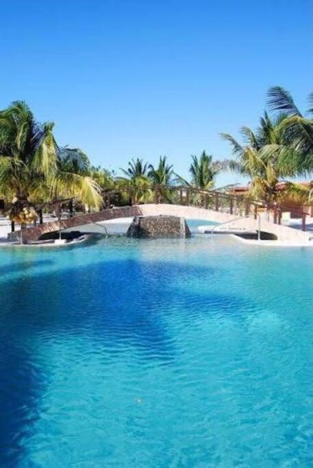 Beachfront Apartment With Swimming Pool. One Bedroom Celestun Exterior foto